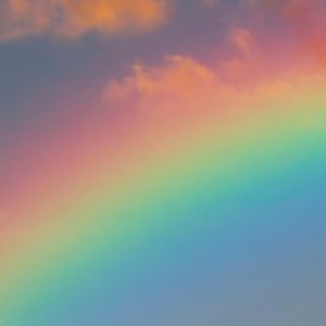 Meet your Posher, Rhea